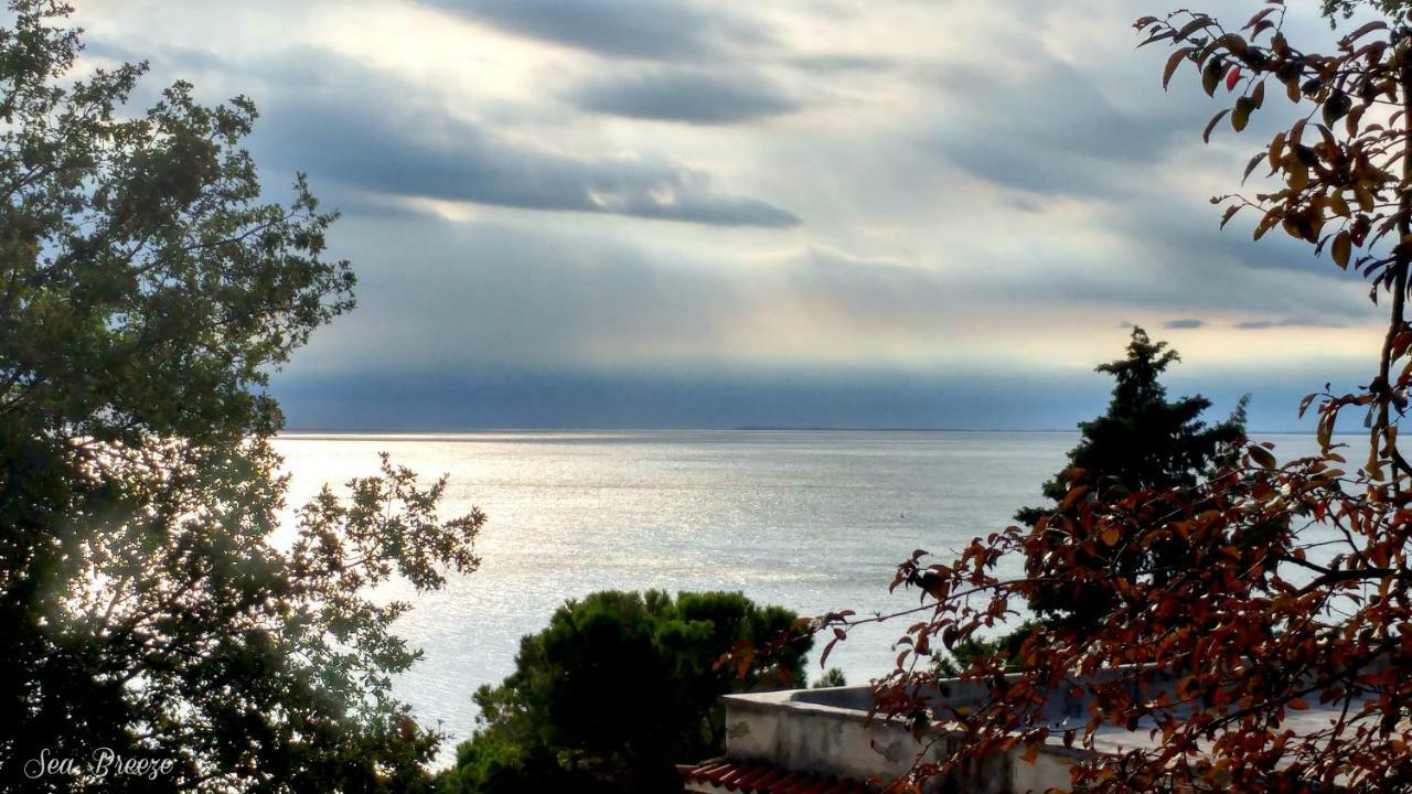 Sea Breeze - Barcola Trieste